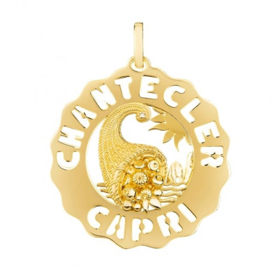 Ciondolo Logo Cornucopia in oro giallo 18Kt e diamante